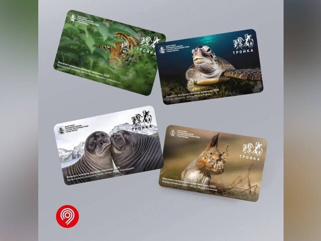    Фото: телеграм-канал "Дептранс Москвы"