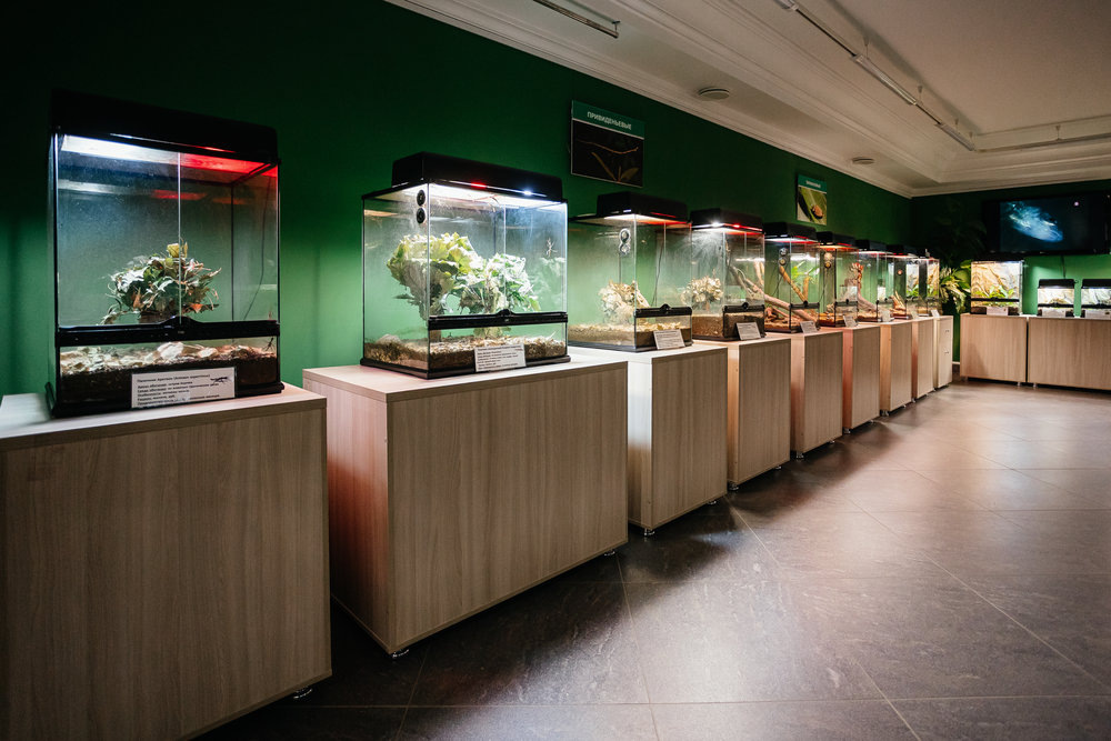 Музей природы