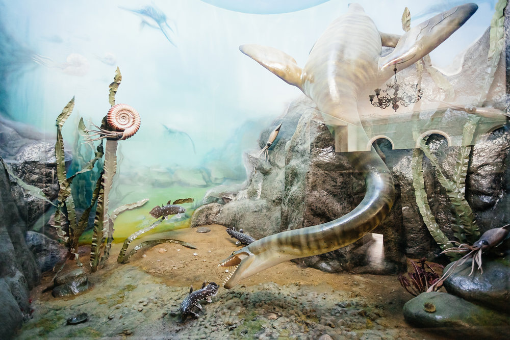 Музей природы