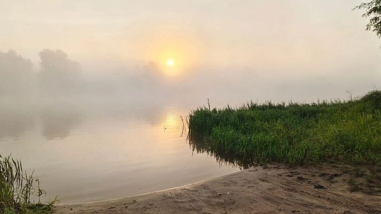    Фото: Balser/Shutterstock/Fotodom