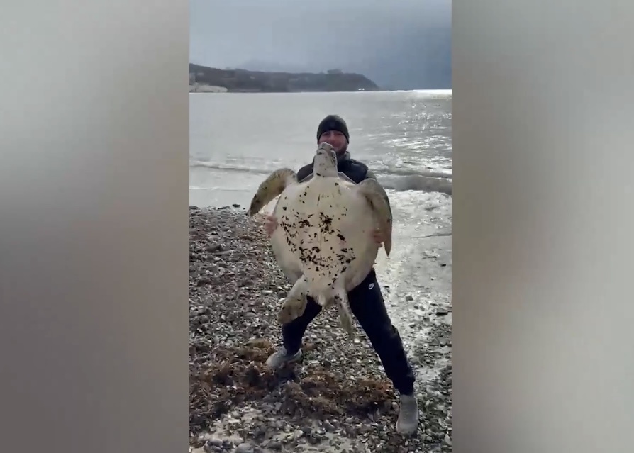    Фото: соцсети