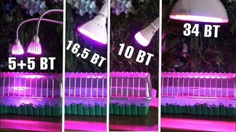 Досветка рассады в марте: какие лампы выбрать и сколько часов светить