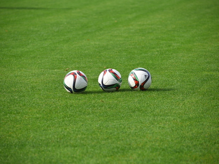     Фото: photo.mosreg