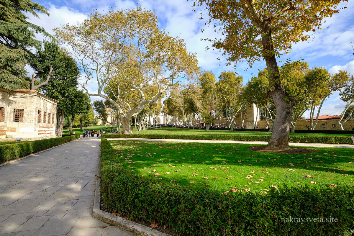 Первый двор