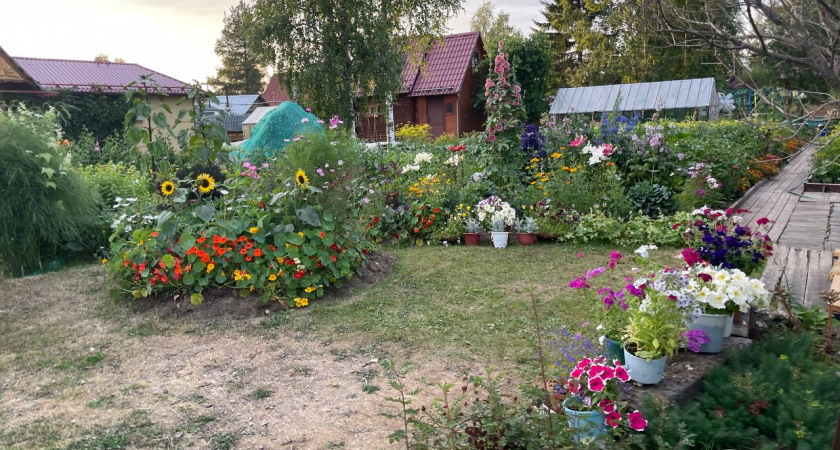    Автор фото - Анна Ефимова