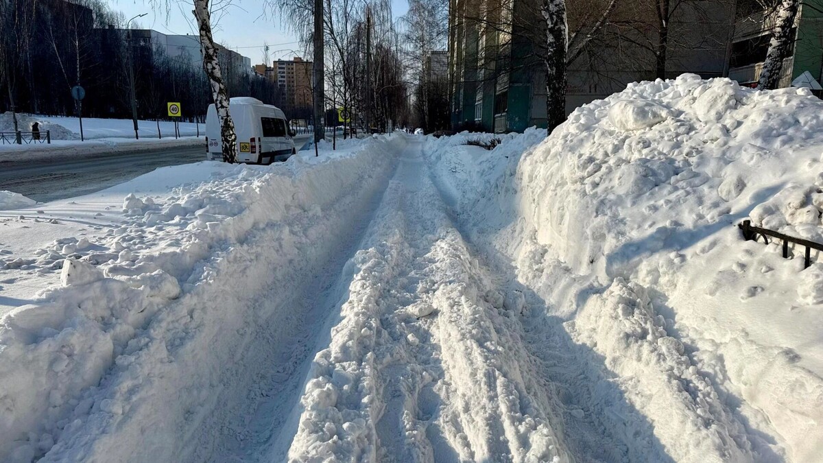    Каким будет первый месяц весны для новосибирцев   1MI