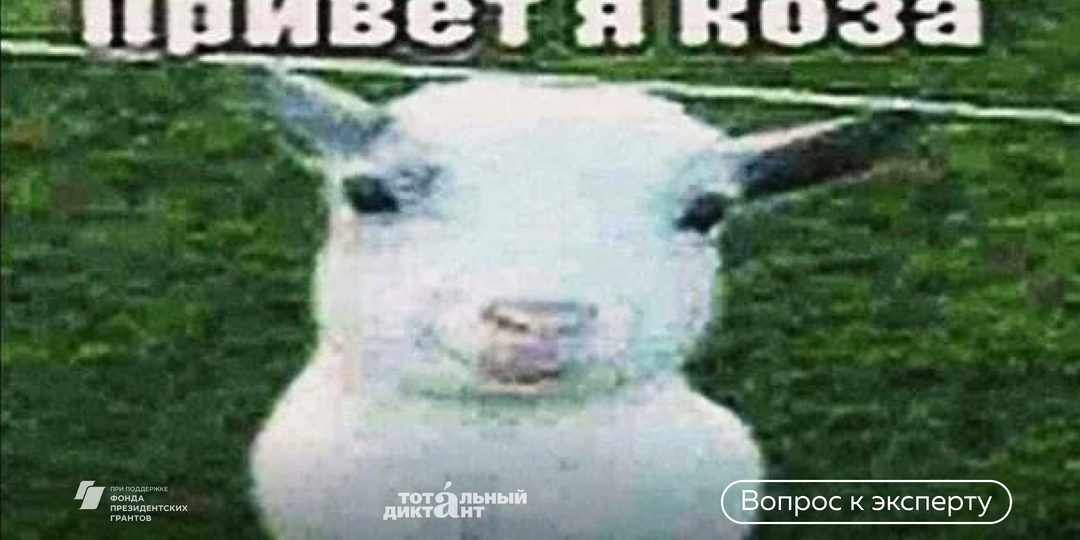 Козлы, козы и прочие «козления», или Почему эти ругательства воспринимаются по-разному