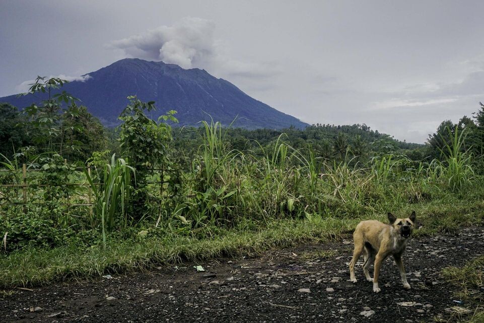    Panoramic/ZUMAPRESS.com / www.globallookpress.com