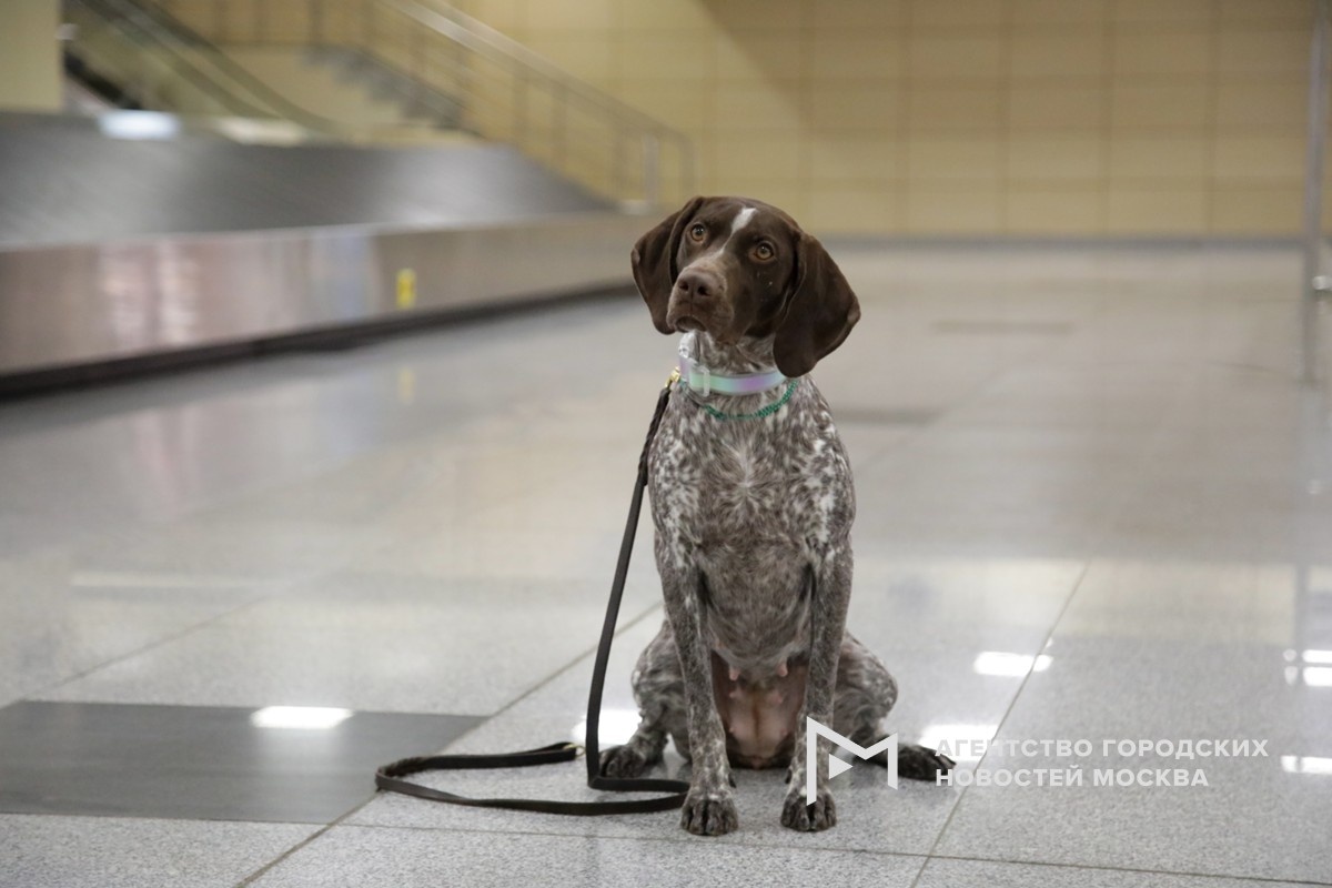 Фотограф: Артур Новосильцев