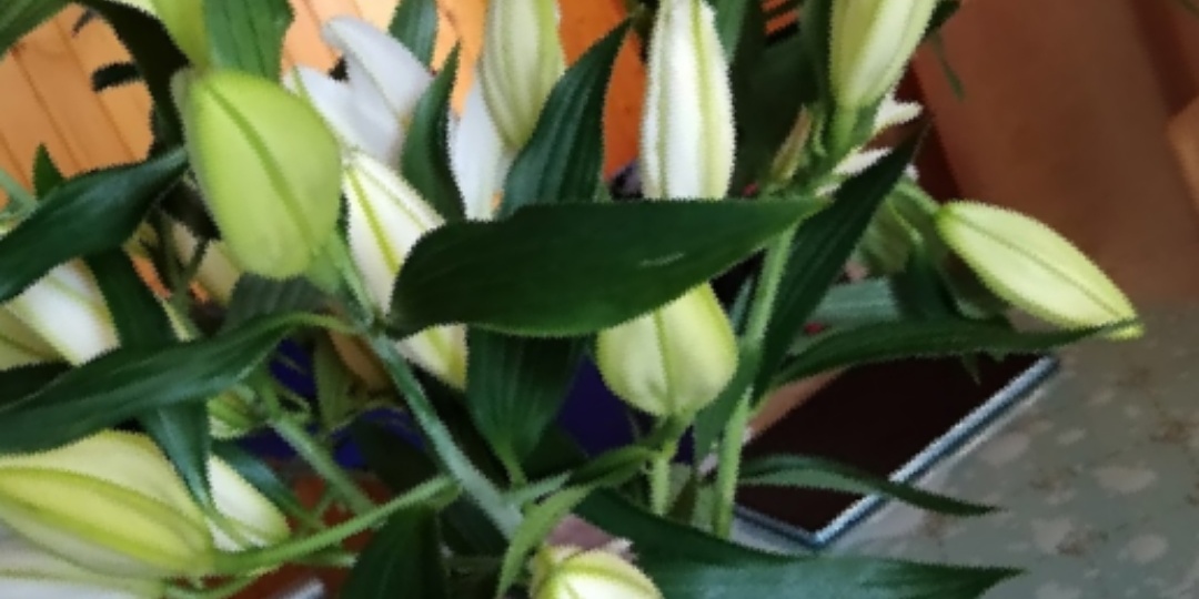 8 Марта 🌷. Особый день для девушек!