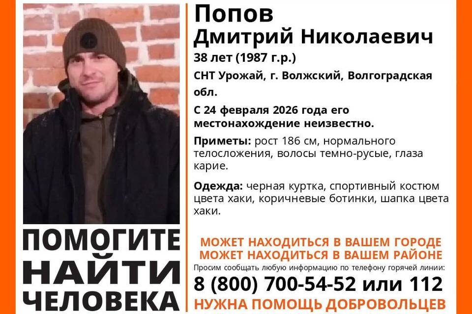    Фото предоставлено поисковым отрядом "ЛизаАлерт"