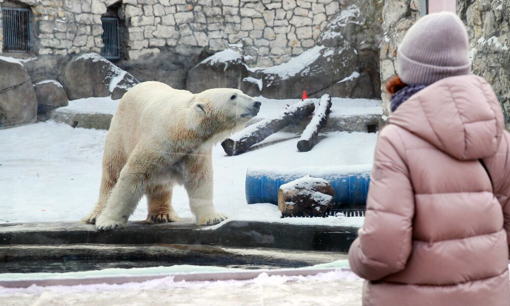    ©Агентство городских новостей "Москва"