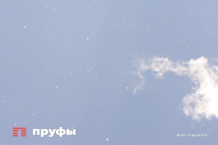    Фото: Пруфы