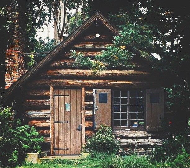 Хозяин леса.