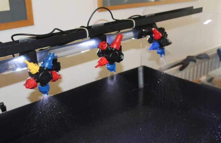    Фото: Richard Halleron