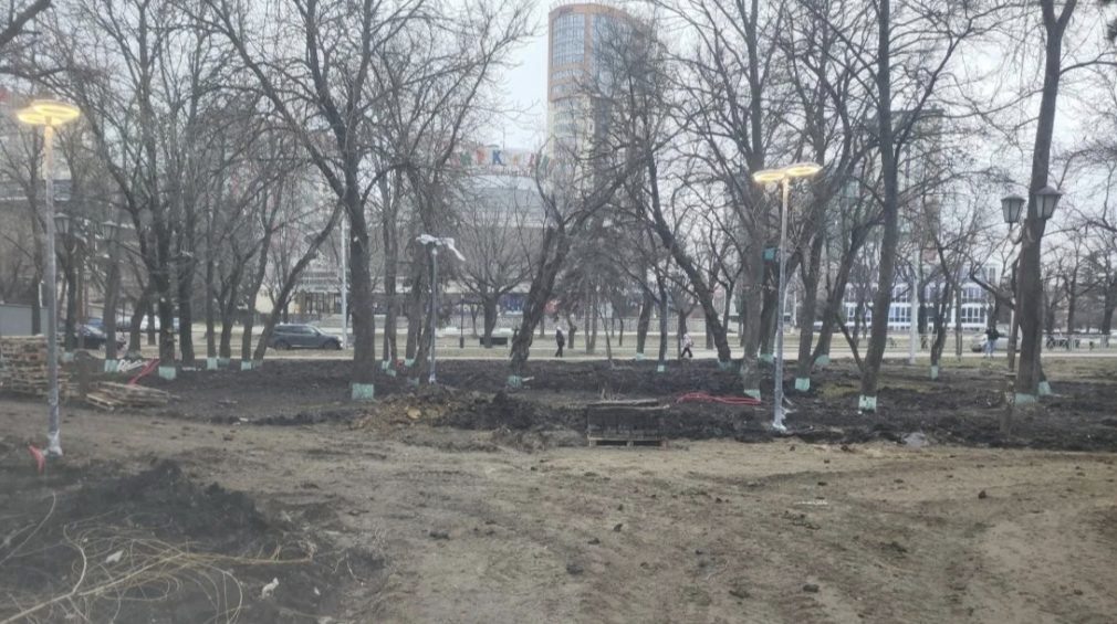    Фото: администрация Ставрополя Светлана Уварова