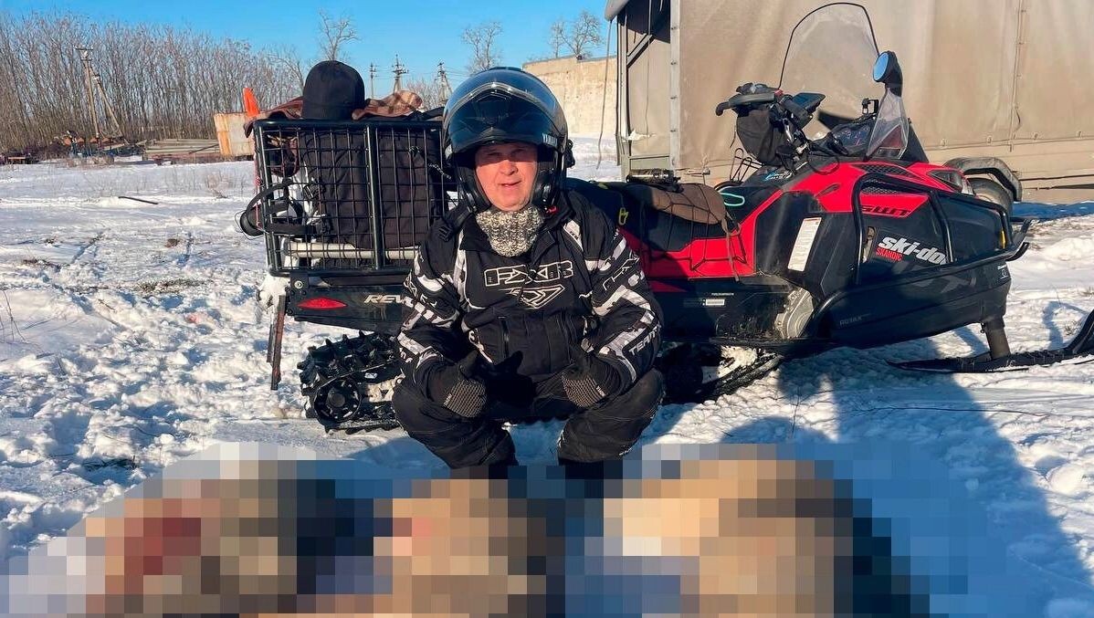    Огромного волка ликвидировали в Ростовской области   предоставил Андрей Жищенко / rostovgazeta.ru
