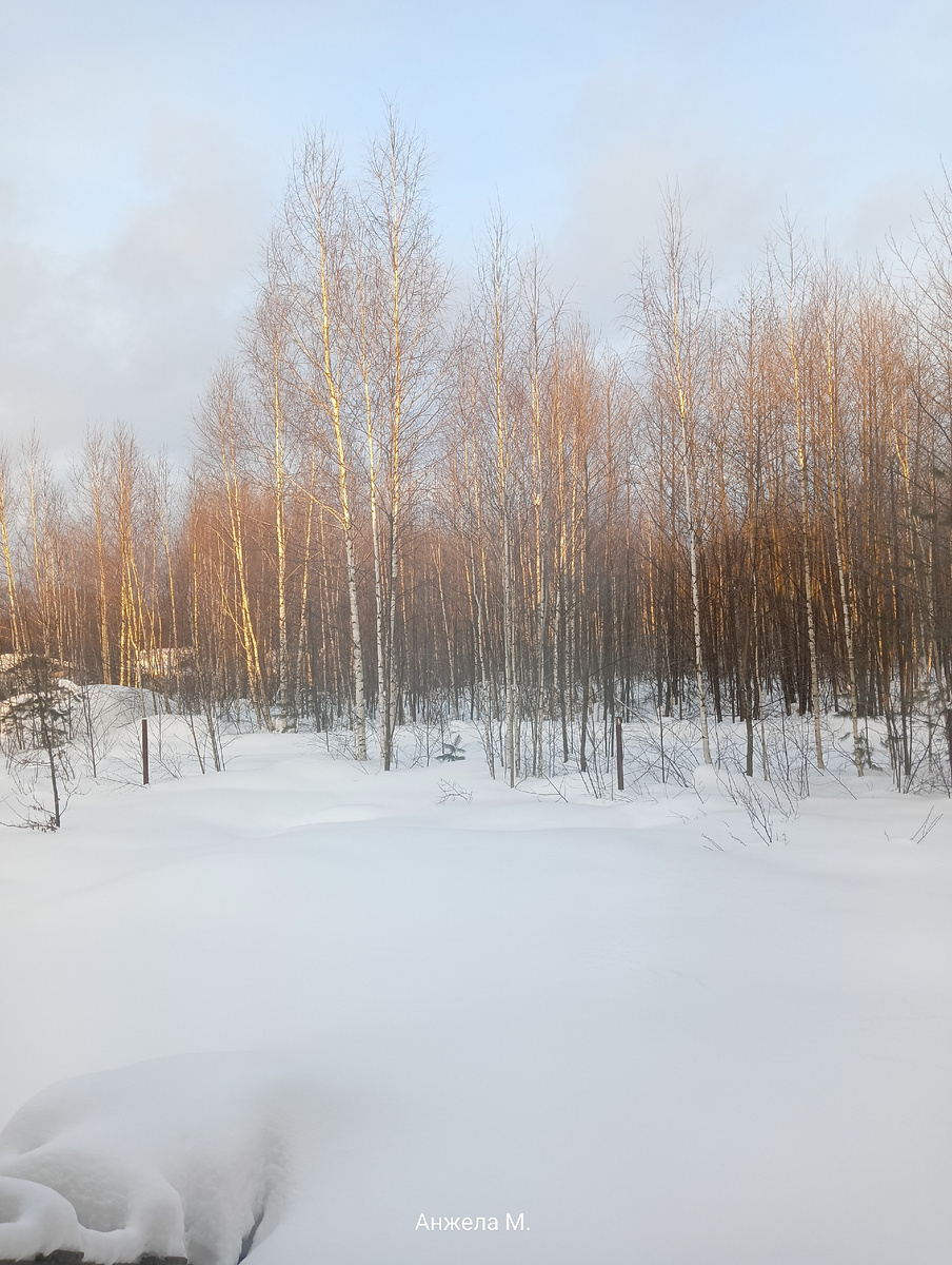 Весна уже парит в воздухе... Вид из моего окна. 