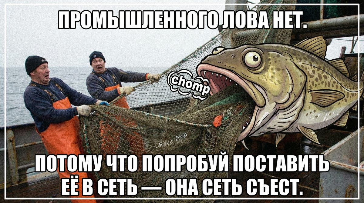 -9