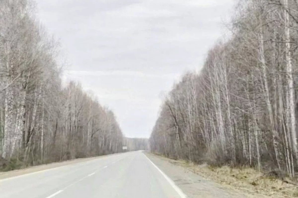    В Омской области отремонтируют дорогу за миллиард