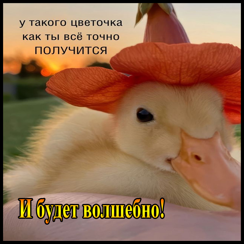 виртуальная обнимашка