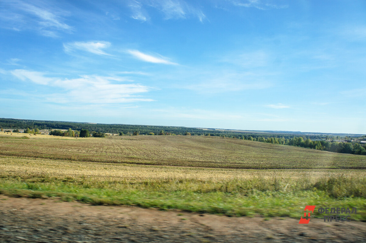 Получить земельный участок родные погибшего героя смогли благодаря прокуратуре.  Фото: Елена Майорова