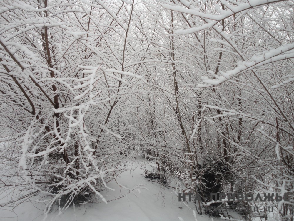    Сильный снег прогнозируют в Нижегородской области с вечера 27 февраля