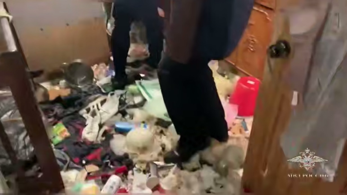    Фото: скриншот / Ирина Волк / Telegram