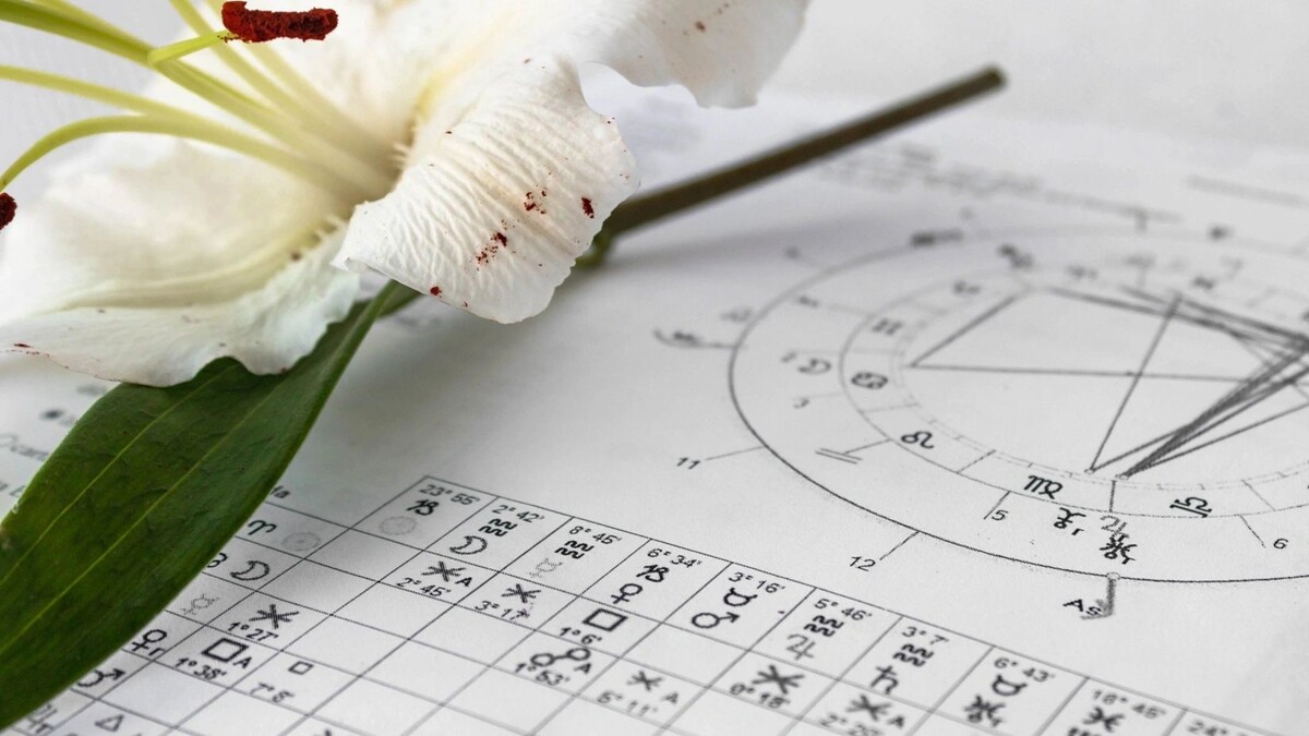    Фото: Bada1 / shutterstock.com / Fotodom