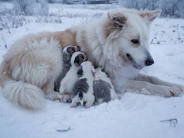     Фото: Нейросеть