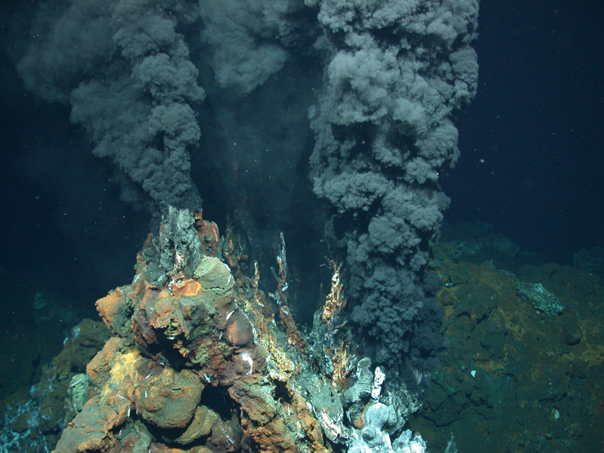 ׸���� ���������