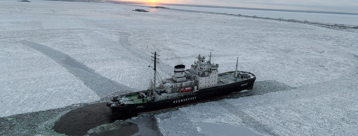    Автор фото: Collab Media/Shutterstock/FOTODOM