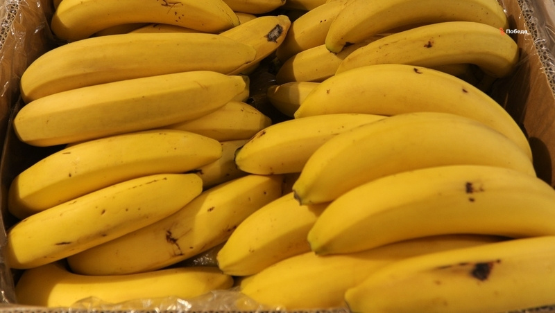      Фото: ИА «Победа26»