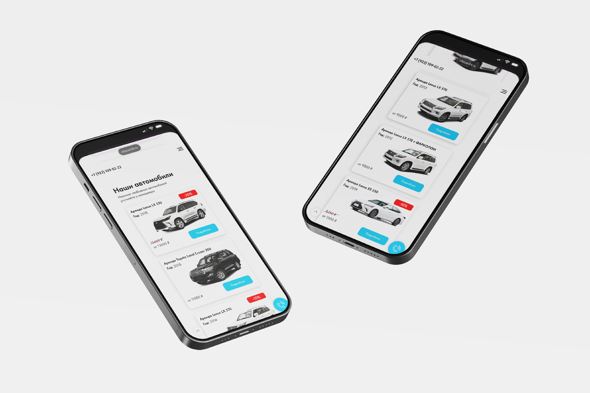 Работа из портфолио Librico
