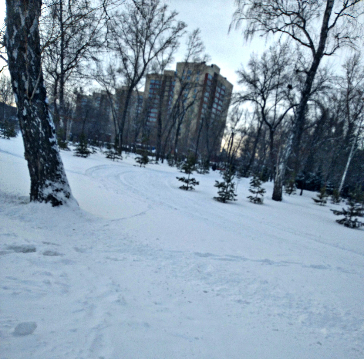 Где-то на просторах моего города. Фотография автора. 