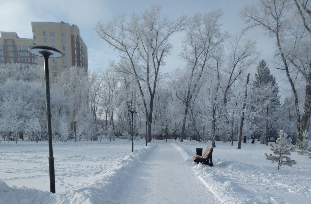 Где-то на просторах моего города. Фотография автора. 
