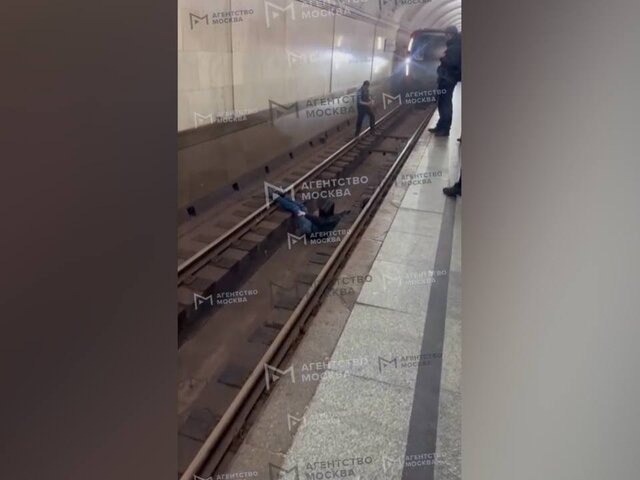    Фото: телеграм-канал "Агентство "Москва"