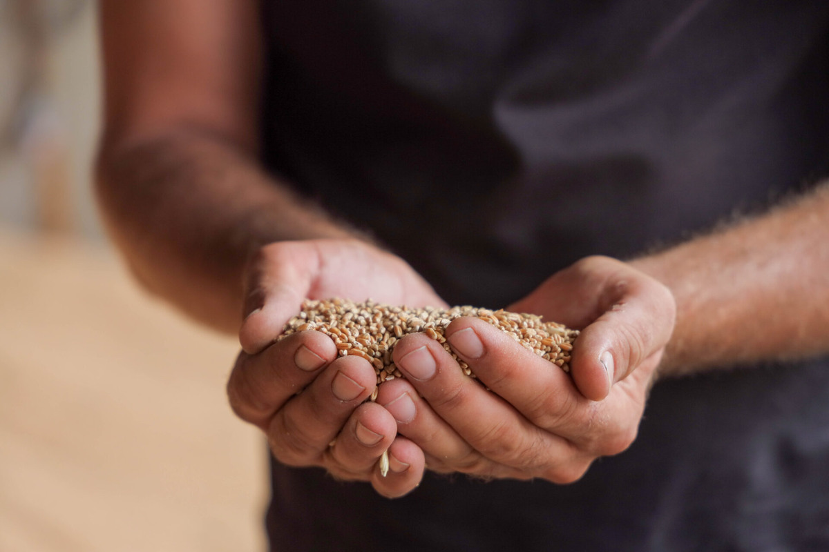    Фото: ТРК Таврия