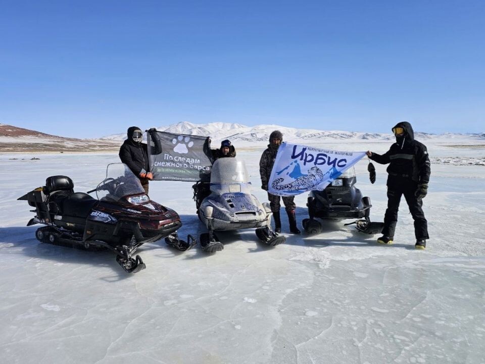    Второй этап учета снежного барса в Республике Алтай. Источник: Пресс-служба Сайлюгемского нацпарка
