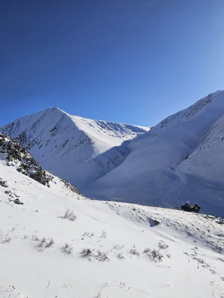    Второй этап учета снежного барса в Республике Алтай. Источник: Пресс-служба Сайлюгемского нацпарка