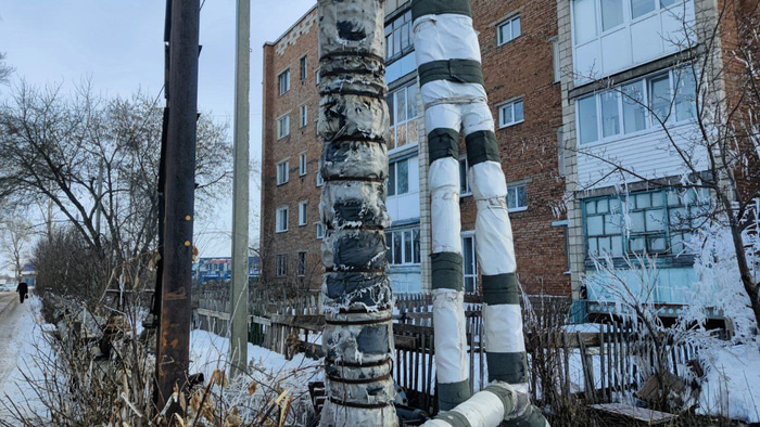    Фото: Omskinform.ru