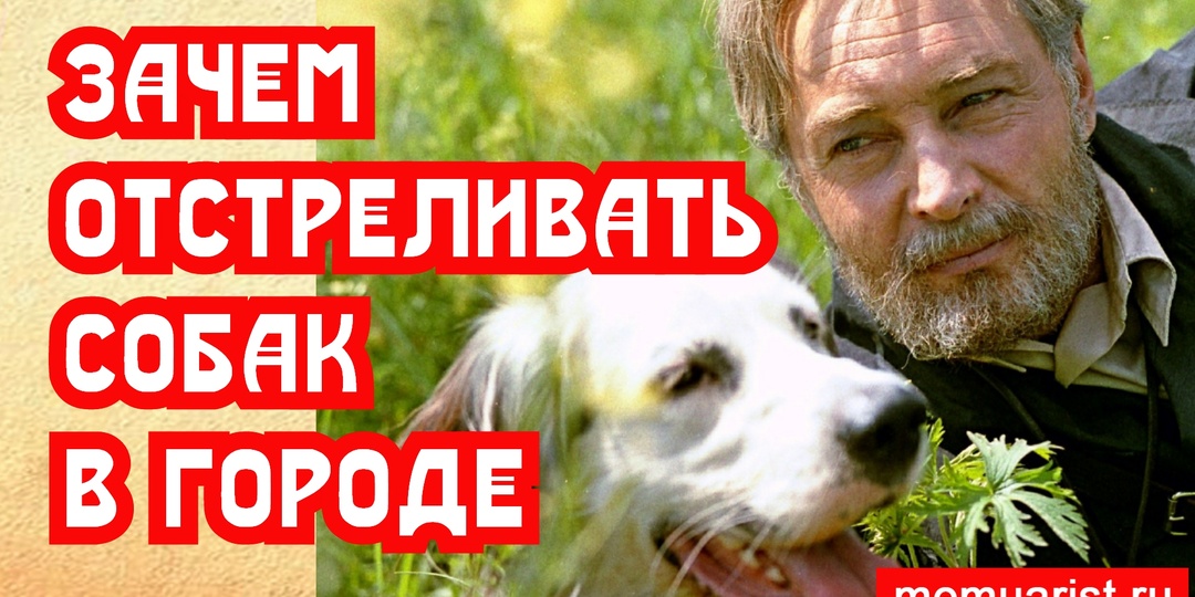 Почему диких собак нужно отстреливать – история Додо пиццы