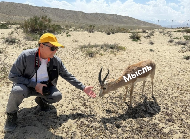 Фото из интернета