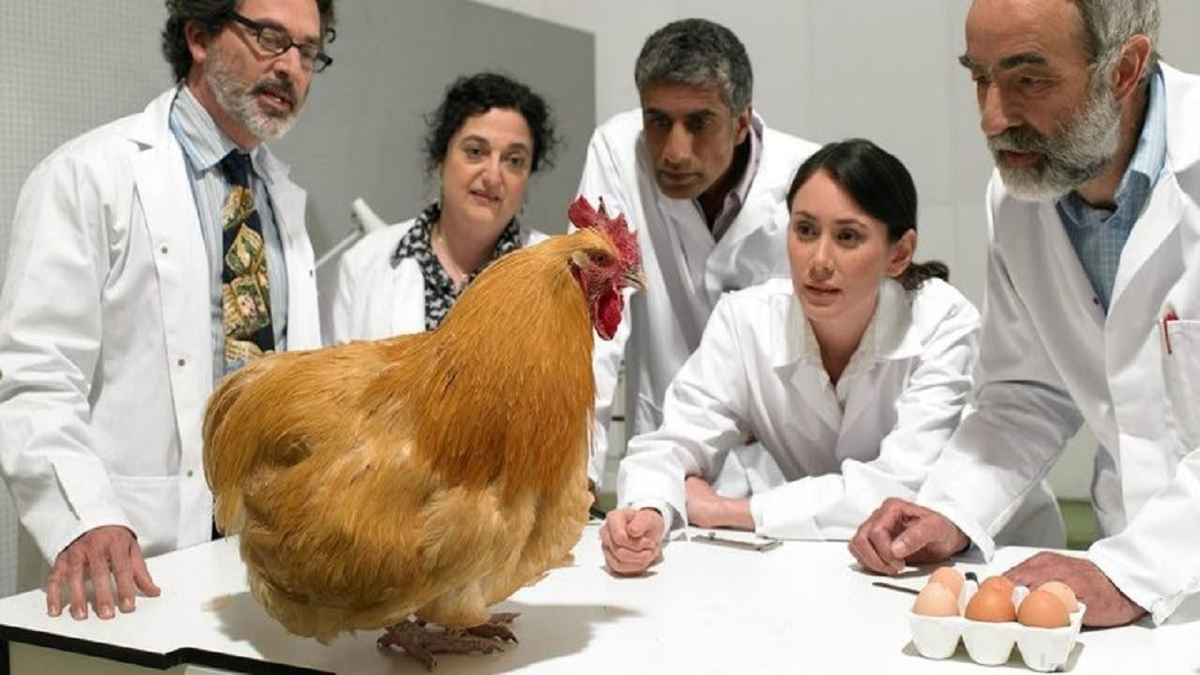 Фото из интернета