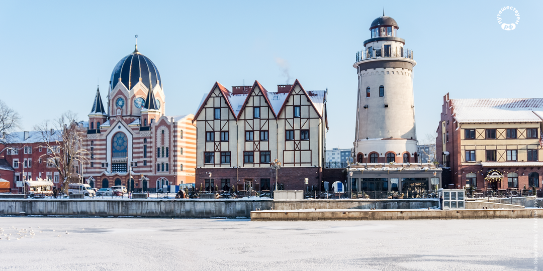 Калининградская область для всей семьи: олени, замок и секреты старой школ