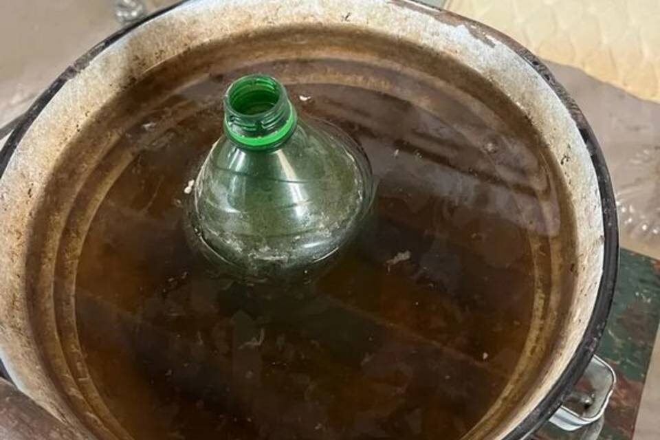    Фото: ГУ МВД России по Волгоградской области