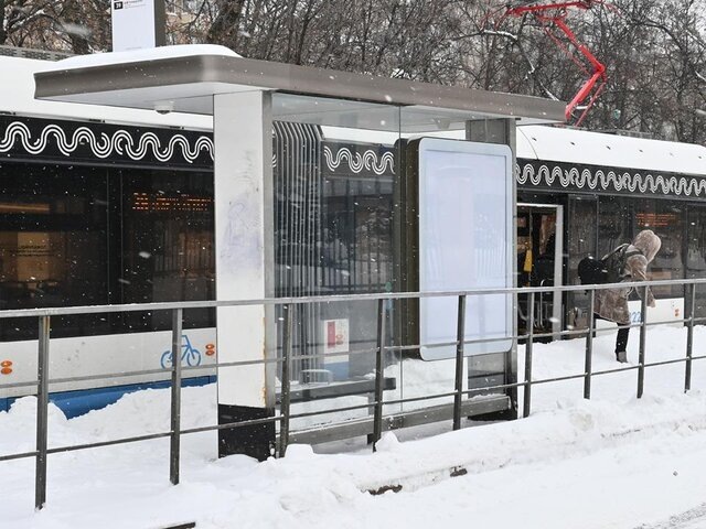    Фото: Москва 24/Никита Симонов