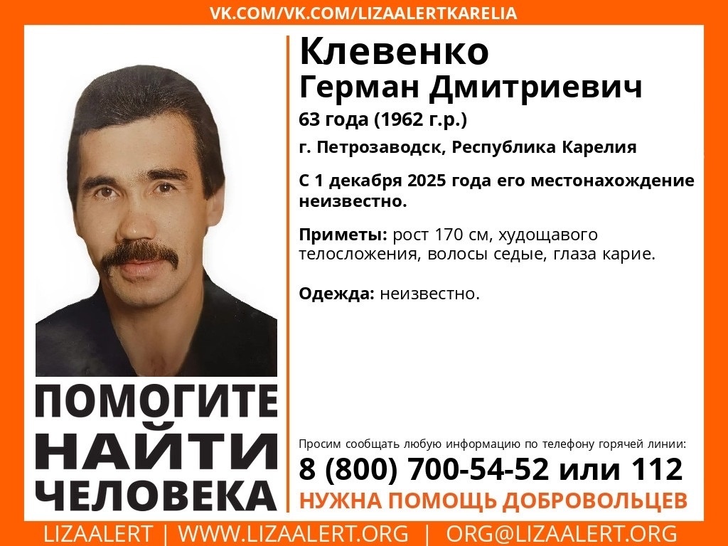    фото: © ЛизаАлерт