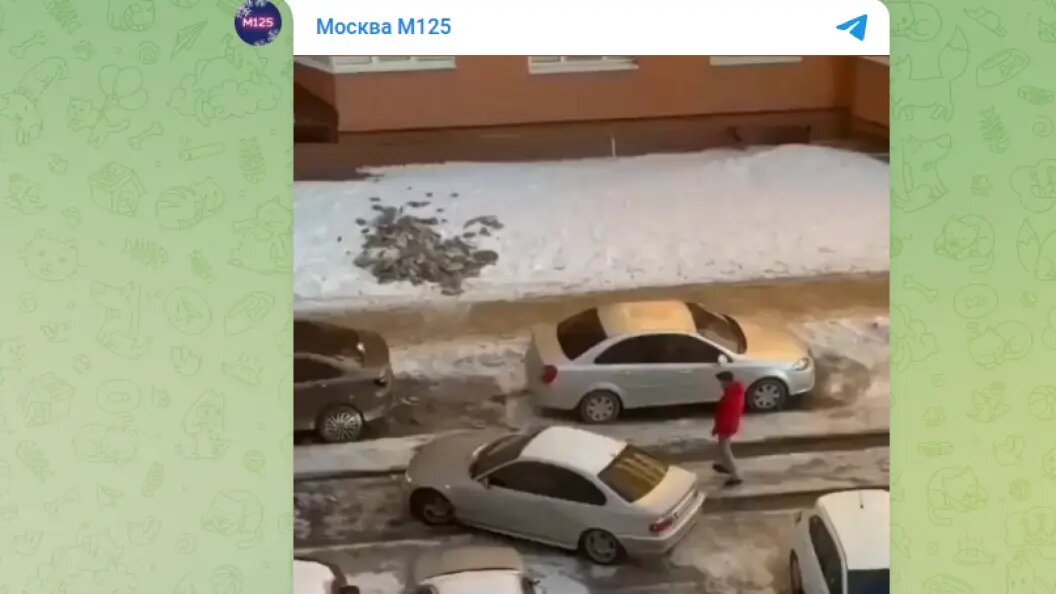    Фото: тг-канал Москва М125.