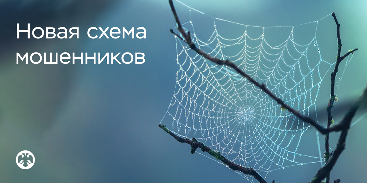 Фото: Shutterstock / Diego Grandi